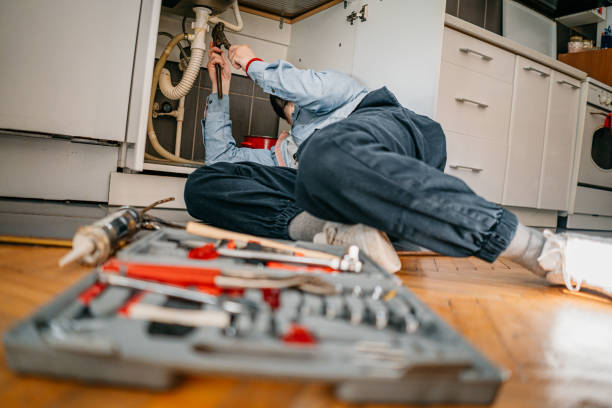 Best Affordable Plumbing Services  in Flat Rock, MI