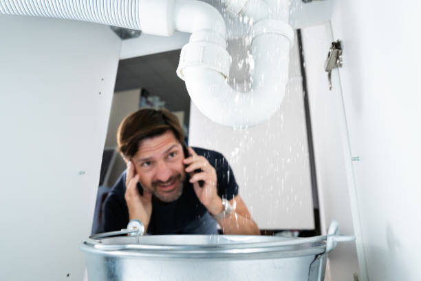 Best Residential Plumbing Services  in Flat Rock, MI