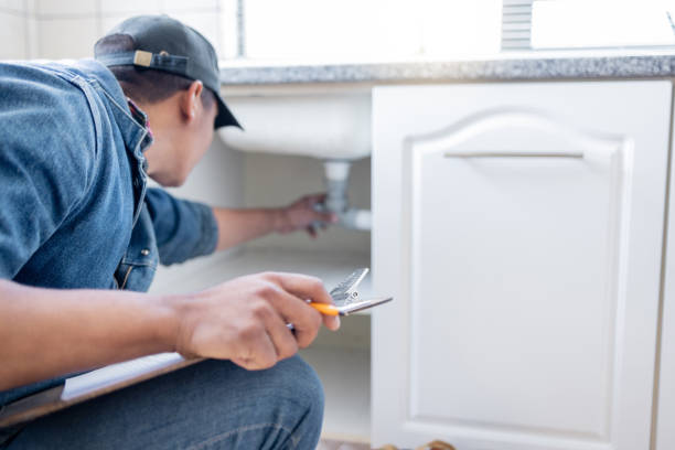 Best Local Plumber Services  in Flat Rock, MI
