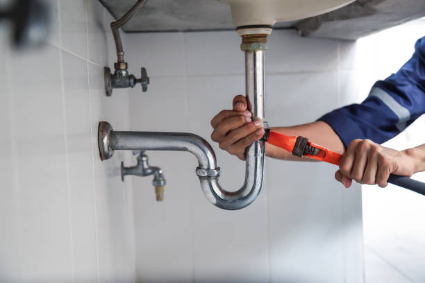 Best Septic Systems  in Flat Rock, MI