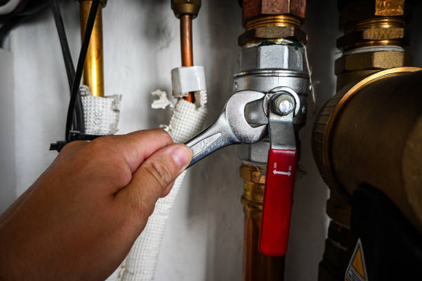Best Same-Day Plumbing Service  in Flat Rock, MI